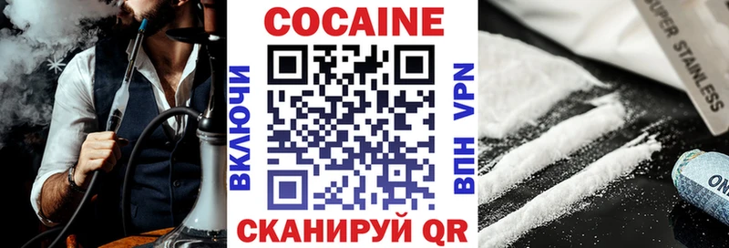 купить наркотики цена  Зеленогорск  COCAIN Fish Scale 