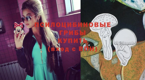 spice Абаза