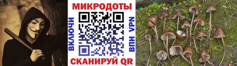 Галлюциногенные грибы Cubensis  Зеленогорск 
