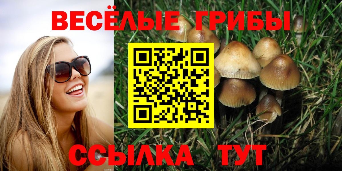 Галлюциногенные грибы ЛСД  Вход с VPN  Зеленогорск 